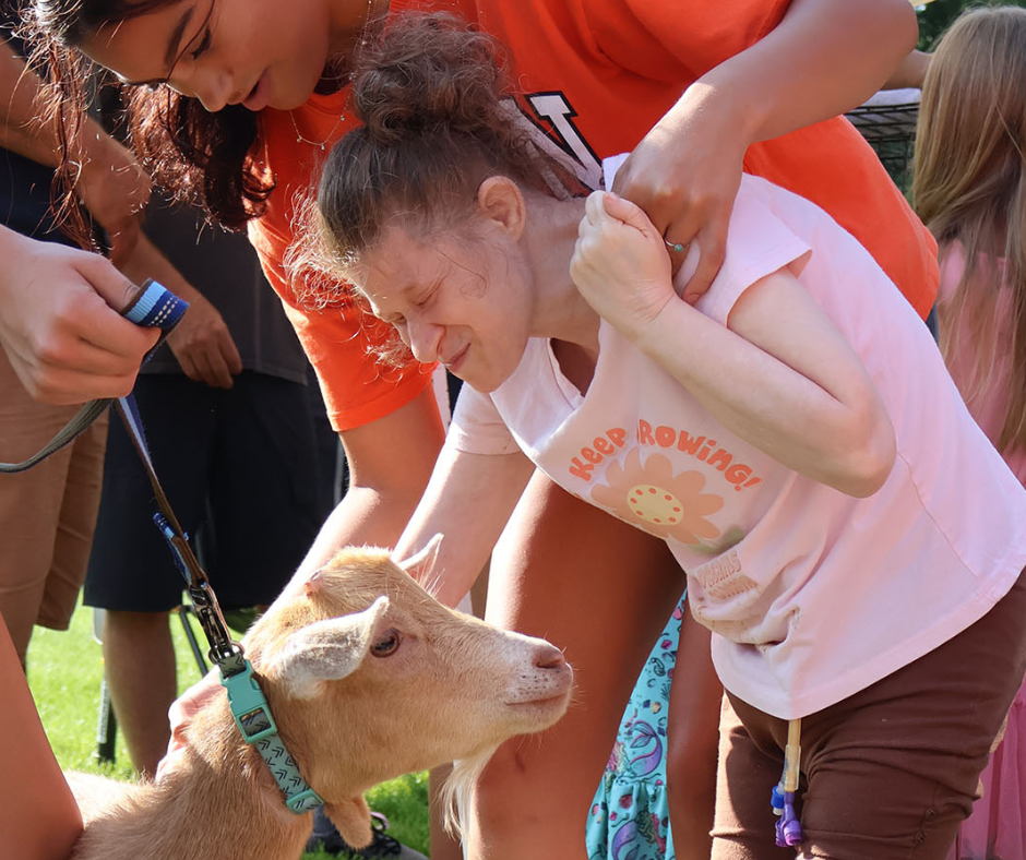 Petting Zoo