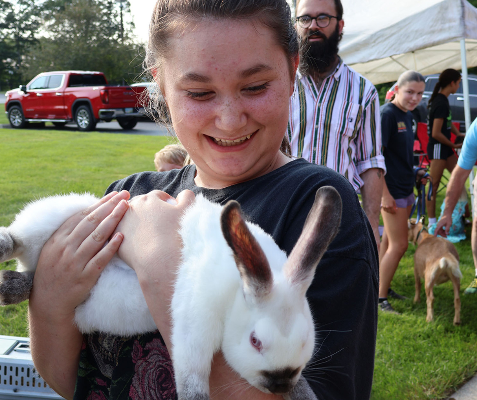 Petting Zoo