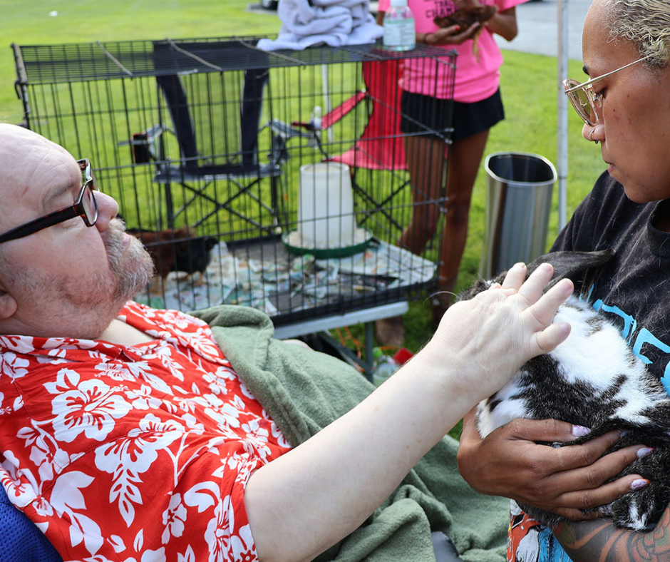 Petting Zoo