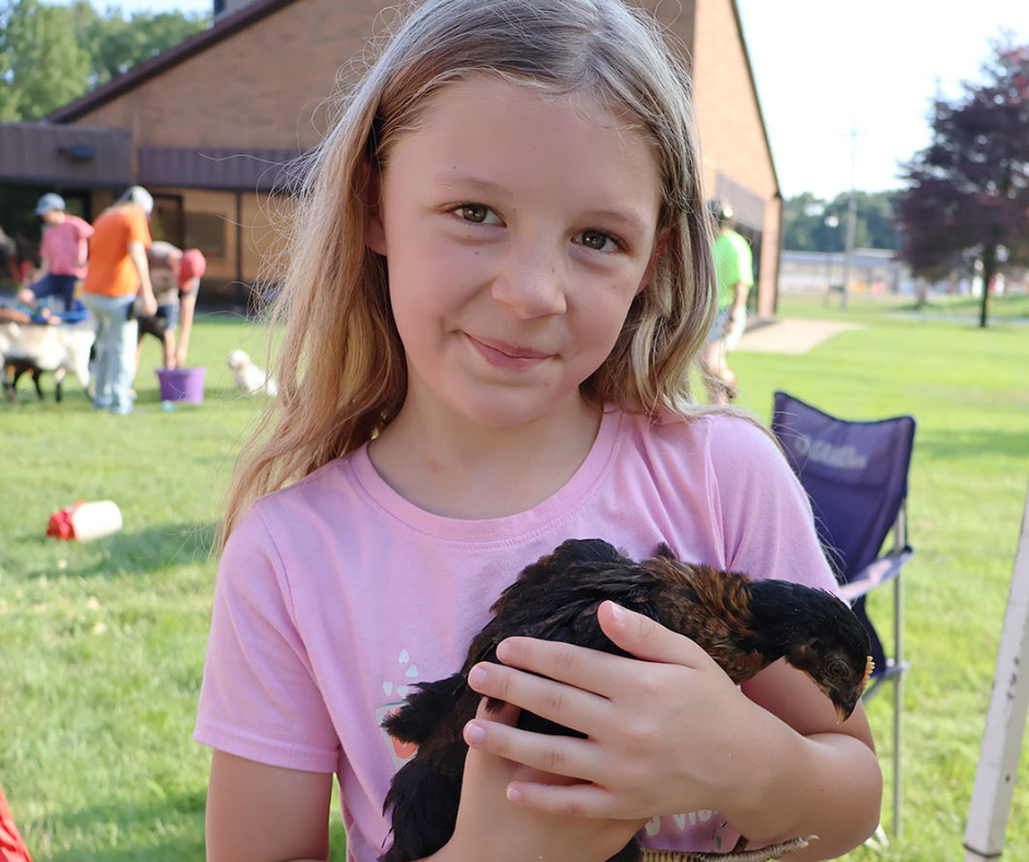 Petting Zoo