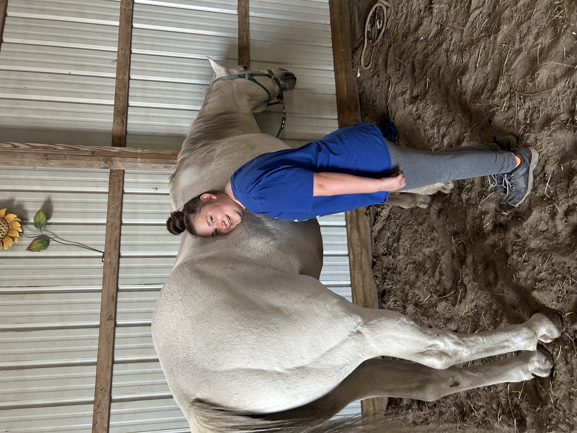 The benefits of equine therapy for people with disabilities